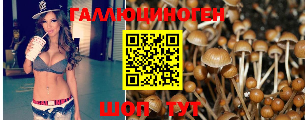 Галлюциногенные грибы Magic Shrooms Джанкой